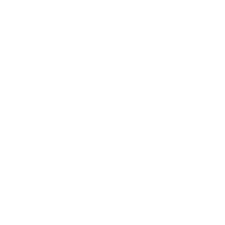 Bank of China Logo