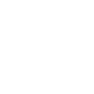 securitas light